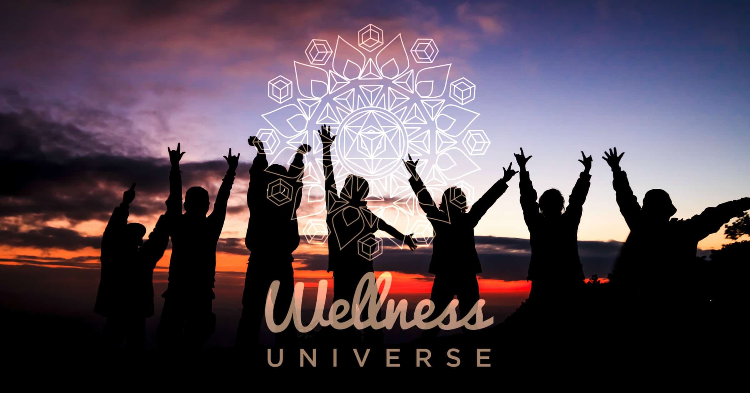 The Wellness Universe